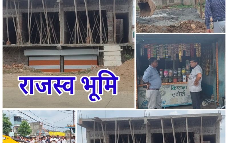 WhatsApp Image 2025-09-17 at 8.41.19 PM